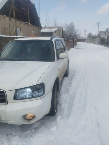 Subaru: Subaru Forester: 2024 г., 0.2 л, Автомат, Бензин, Внедорожник