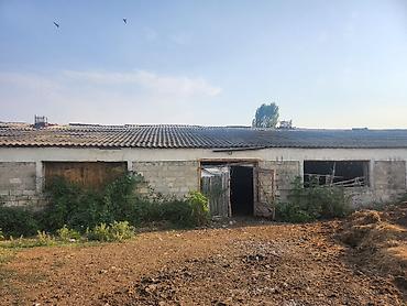 corat həyət evləri: Ferma təsərrüfatı üçün daş konstruksiyalı iri təsərrüfat binaları və — 4