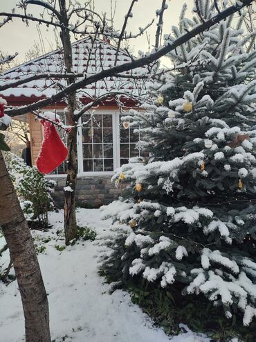 Bağ evlərinin kirayəsi: 255 kv. m, 4 otaqlı, Hovuzlu, Qaz — 4