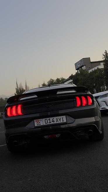 машина 200: Ford Mustang: 2020 г., 2.3 л, Автомат, Купе — 4