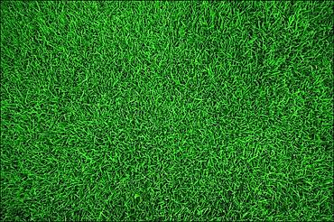 rgb свет: ПОД ВЫКУП МАШИНА КЕРЕК СРОЧНО !!! БЕЗ БАНК БЕЗ ПЕРВОНАЧАЛЬНЫЙ ЖАШ — 1