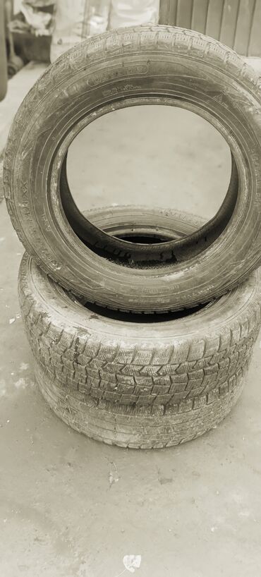 шины на ман: Шины 215 / 60 / R 16, Зима, Комплект, Легковые, Dunlop