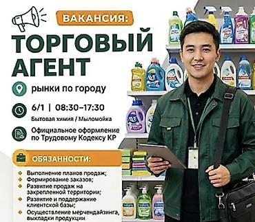 Требуется Торговый агент, График: Шестидневка, 3-5 лет опыта, Оплачиваемый отпуск, Полный рабочий день