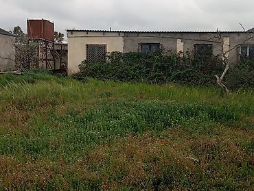 sultan emlak: Bakı, Binə, 1400 kv. m, 4 otaqlı, Hovuzlu, Qaz, İşıq, Artezian quyusu — 3