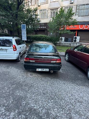 gepard max e9: Nissan Maxima: 1998 г., 2 л, Автомат, Бензин, Седан — 2