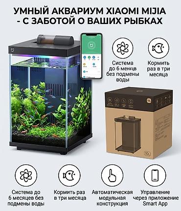 Аквариумдар: Умный аквариум Xiaomi Mijia 10 л - Автоматическое кормление — 1