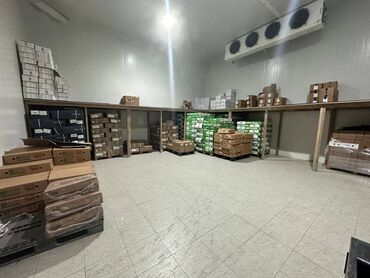 Anbar və emalatxanalar: İcarəyə Soyuducu Anbar Verilir! Abşeron rayonu, Xırdalan qəsəbəsində — 10