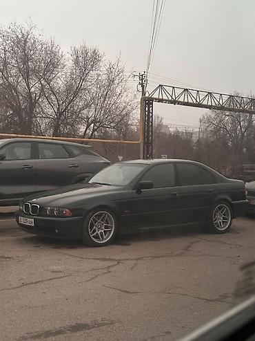 машина бмв: BMW 5 series: 2001 г., 3 л, Автомат, Дизель, Седан — 4