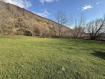 Torpaq sahələrinin satışı: 35 sot, Mülkiyyətçi — 12