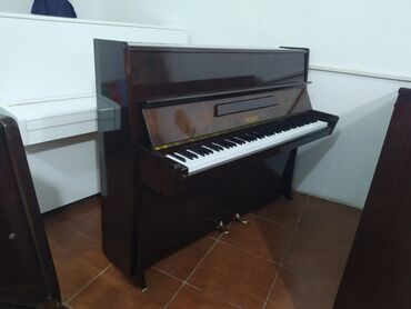 Pianolar: Piano, Petrof, Akustik, İşlənmiş, Pulsuz çatdırılma, Rayonlara çatdırılma