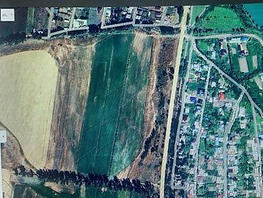 поменяюсь: 8 соток, Для сельского хозяйства, Договор купли-продажи — 1