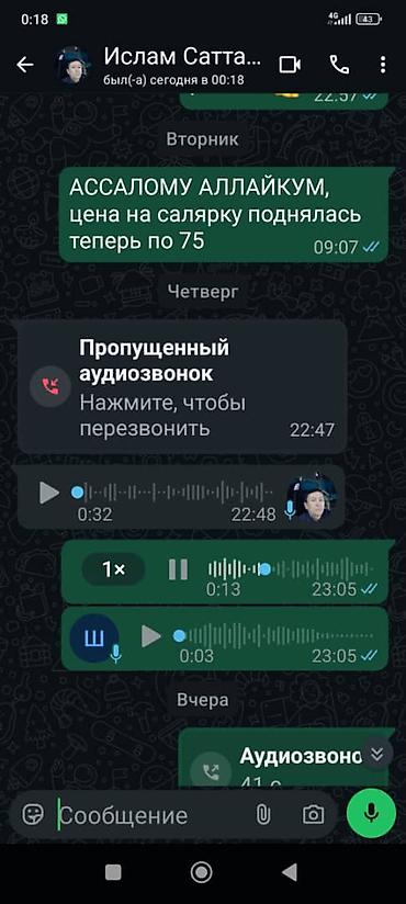 секции видео: Скриншот переписки в WhatsApp. Описание: - Интерфейс мессенджера — 1
