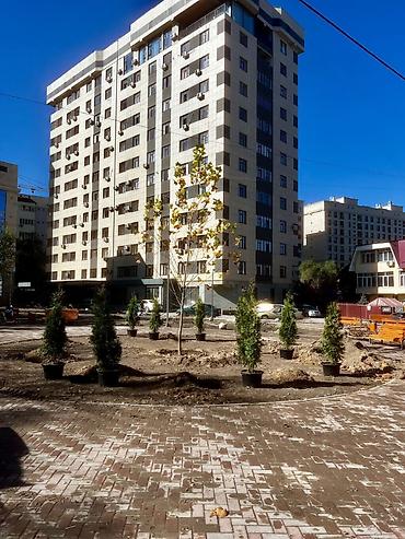 Продажа квартир: 3 комнаты, 98 м², Элитка, 9 этаж, Дизайнерский ремонт — 19