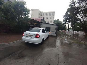 hella white: Продаю или меняю Ravon Nexia R3 — 4