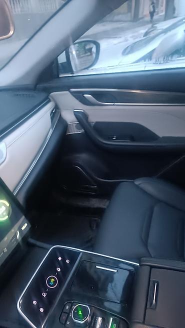 Weltmeister: Weltmeister EX5, 2021 г., Передний, В наличии — 6