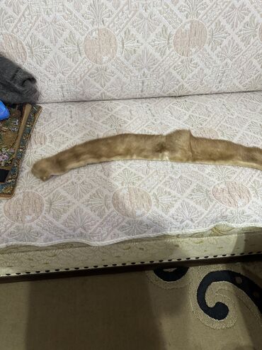 Шапки: Шапка, Норка, Зима — 9