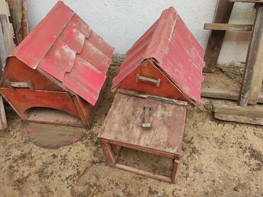 Yuvalar: It yuvasi bir ededi 20 az -da lalafo.az — 5 Yuvalar: It yuvasi bir ededi 20 az — 5