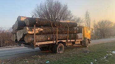 столовой в аренду: Стрела 14 м, 12 т, Борт 20000 кг — 3