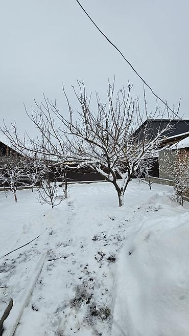 Продажа коттеджей и домов: 🏡 Продаю дом в Верхнем Арча-Бешике 📍 Локация:Верхний Арча-Бешик — 13