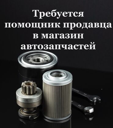 Продавцы-консультанты: Требуется помощник продавца (парень) в магазин автозапчастей. В