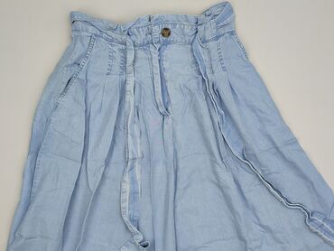 plisowane spódnice massimo dutti: Medicine, Women`s skirt, size L (EU 40)