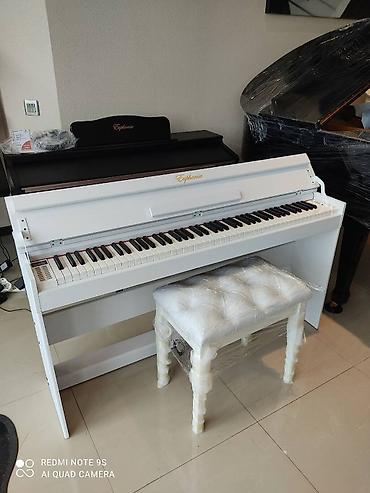 Musiqi alətləri: Piano, Rəqəmsal, Yeni, Pulsuz çatdırılma — 2