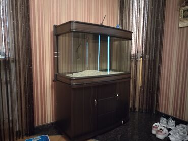 аквариум баку: Akvarium
