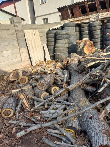сухие дрова: Дрова