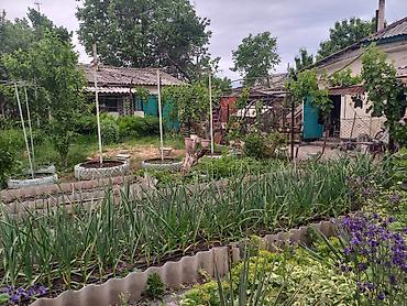mia home: Продается жилой дом по адресу: г. Кара-Балта, ул. Спортивная, 71. Цена — 3