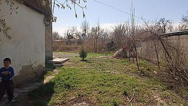 Продажа дач: Продаётся недостроенный двухэтажный дом в дачном товариществе — 13