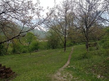 Torpaq sahələrinin satışı: 4 sot, Tikinti, Kupça (Çıxarış)