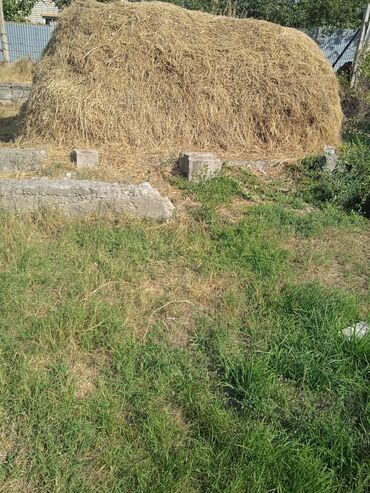 Продажа участков: 20 соток, Для сельского хозяйства — 9