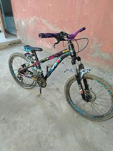 saft velosipedleri: Velosiped – dağ tipli, disk əyləcli, sürətlər qolu və əyləc klapanı — 3