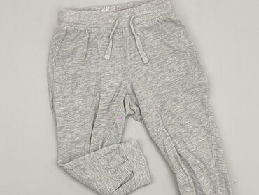 spodnie w kratke szare: Sweatpants, H&M, 12-18 months, condition - Very good