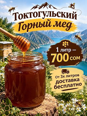 Токтогульский горный мёд в Кара Балте - Натуральный мёд из горных at lalafo.kg Токтогульский горный мёд в Кара Балте - Натуральный мёд из горных