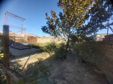 Uzunmüddətli kirayə evlər: 400 kv. m, 7 otaqlı -da lalafo.az — 30 Uzunmüddətli kirayə evlər: 400 kv. m, 7 otaqlı — 30