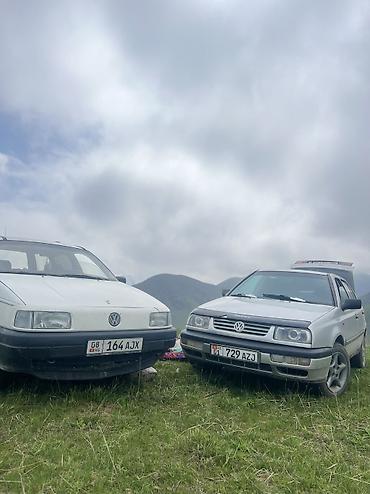 a8 d2: Volkswagen Passat: 1989 г., Универсал — 3