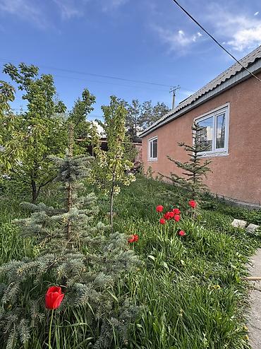 Продажа коттеджей и домов: Продаётся 3х ком + (кухня-санузел-прихожая)дом по Ул .Убукеева — 3