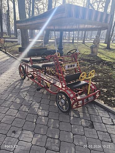 Детский транспорт: Семейный педальный веломобиль с тентом - Четырёхколёсный, удлинённая — 1
