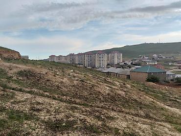 pulsuz elan yerləşdir: 3 sot, Biznes üçün, Barter mümkündür, Bələdiyyə, Müqavilə — 7