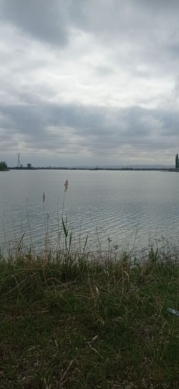 Torpaq sahələrinin satışı: 9 sot, Tikinti, Mülkiyyətçi, Kupça (Çıxarış) — 29