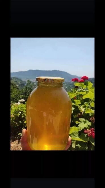 Təbii bal, Vəhşi Təbiətin qoynundan süzülüb süfrələrinizə təqdim