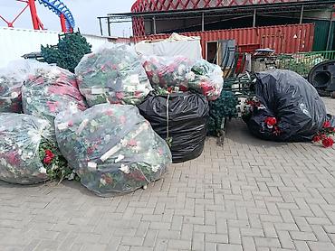 Оптом цветы каму надо звоните не дорого