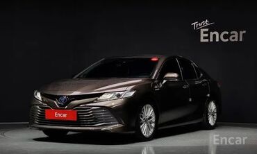 козырек на заднее стекло: Toyota Camry: 2019 г., 2.5 л, Вариатор, Гибрид, Седан