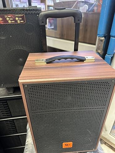 arcus audio: Портативная акустическая система SSRJ с деревянным корпусом и — 5