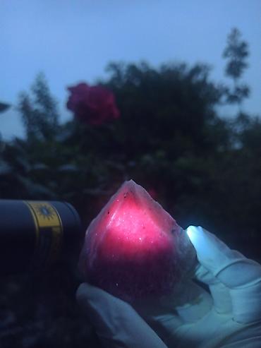 Qiymətli daşlar: Təbii YAQUT ( Ruby ) Daşı SATILIR 💎 Kolleksiya üçün Nadir Floresan ✨ — 10