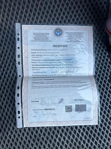 Пассажирский бус на заказ: Спринтер на заказ — 8