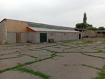 Продажа складов и мастерских: Продается готовый бизнес, молчный ферма, сельхоз техника, площадь — 1