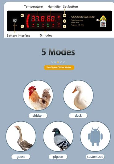 Oprema za kućne ljubimce: INKUBATOR Automatski nove generacije za 400 jaja 12v/220v na lalafo.rs — 8 Oprema za kućne ljubimce: INKUBATOR Automatski nove generacije za 400 jaja 12v/220v — 8