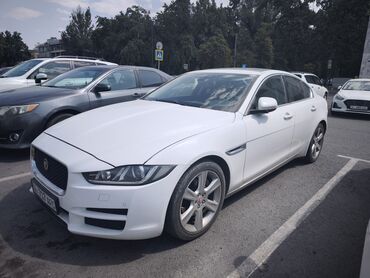 Jaguar: Jaguar XE: 2015 г., 2 л, Автомат, Дизель, Седан